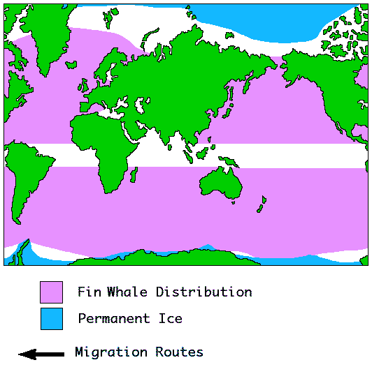 Fin whale Distribution Map