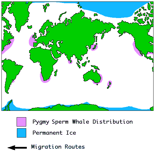 Pygmy Sperm whale Distribution Map