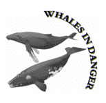 WID Logo