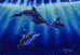 Whale Art