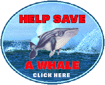 Click here to help a whale