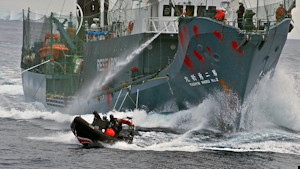 Sea Shepherd - Antarctic Whaling - Japan Whaling