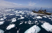 Sea Shepherd - Antarctic Whaling - Japan Whaling