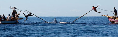 https://www.whales.org.au/news/images/header-Stone_Age_Hunters.jpg