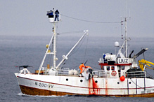Norwegian whaling ship with a minke whale butchered on deck