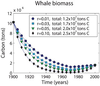 Whale Biomass graph