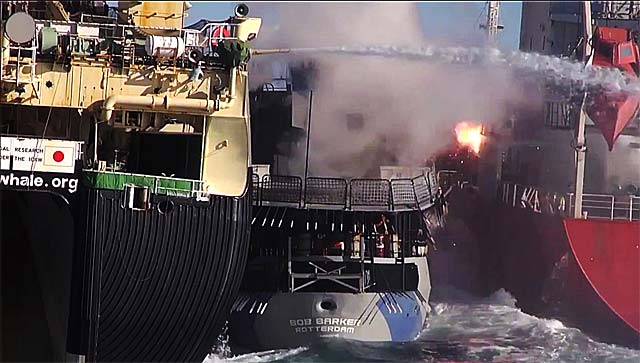 Whaling & Activest Vessels Clash