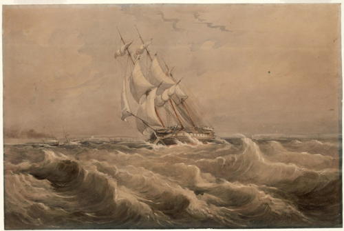 HMS Rattlesnake off Sydney Heads