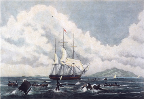 The South Sea Whale Fishery