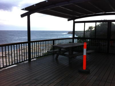 Whale watching platform